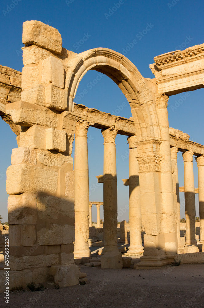 Palmyre Syria 2009 The ruins of an ancient city dating from the Roman period Palmyre Syria 2009 The ruins of an ancient city dating from the Roman period