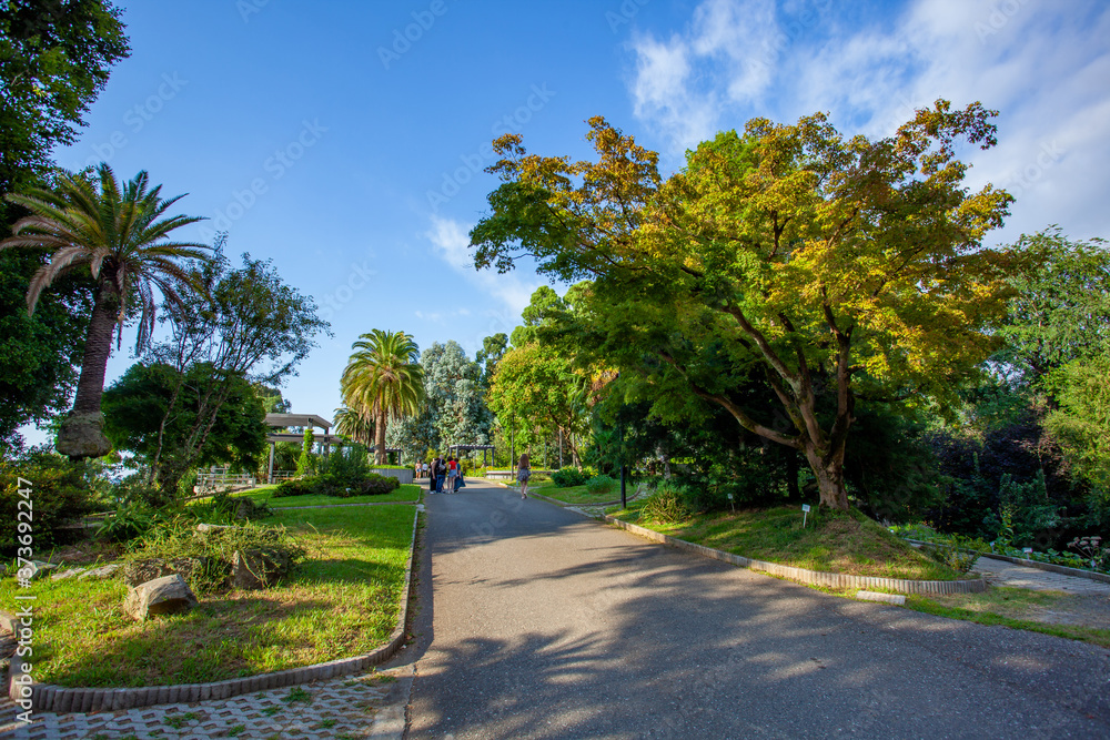 Beautiful view of Batumi Botanical Garden is located near Batumi Beautiful view of Batumi Botanical Garden is located near Batumi