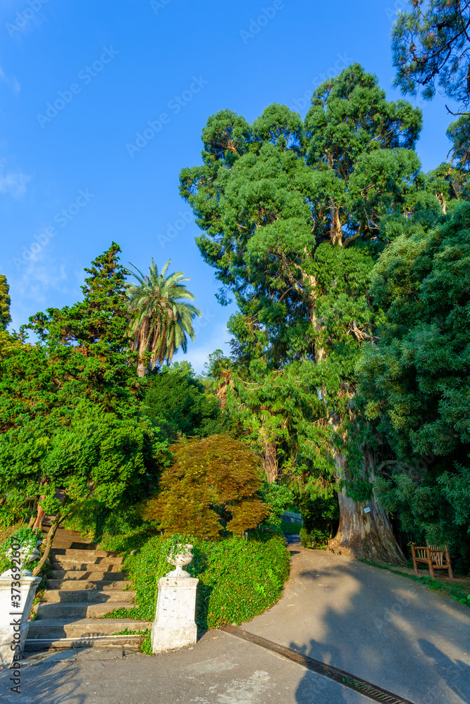 Beautiful view of Batumi Botanical Garden is located near Batumi