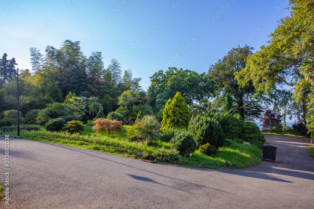 Beautiful view of Batumi Botanical Garden is located near Batumi Beautiful view of Batumi Botanical Garden is located near Batumi