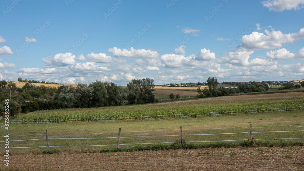 The fields in Uhrwiller in France in summer