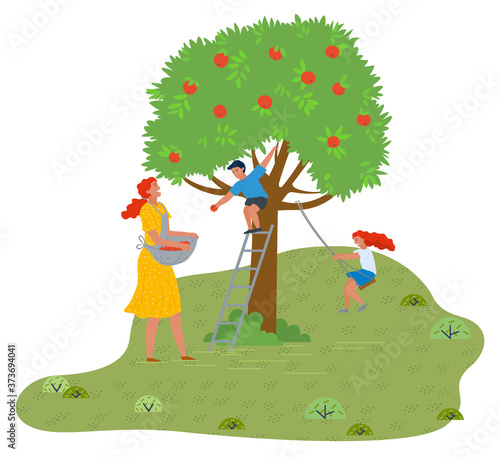 Mother, son and daughter have fun in the garden. Son sits on an apple tree and throws apples, mother collects apples in an apron, daughter swings on a homemade carousel. Fresh air outdoor activity