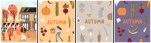 Set of beautiful posters with girl, vegetables, herbs and mushrooms. Autumn harvest and vegetable garden. Avocado, pumpkin, asparagus, radish, beetroot. Vector flat hand drawing illustrations.