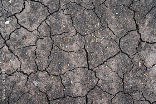 Dried soil ground surface with crack line pattern. Nature background and textured photo.