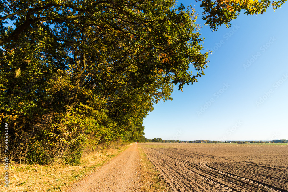 Naklejka premium Trockener Acker am Waldrand