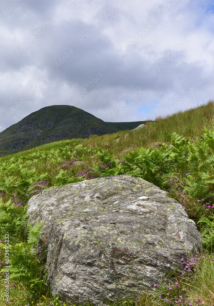 One of the many metamorphic boulders that lie next to the path on the way to Loch Brandy in the Angus Glens of Scotland.