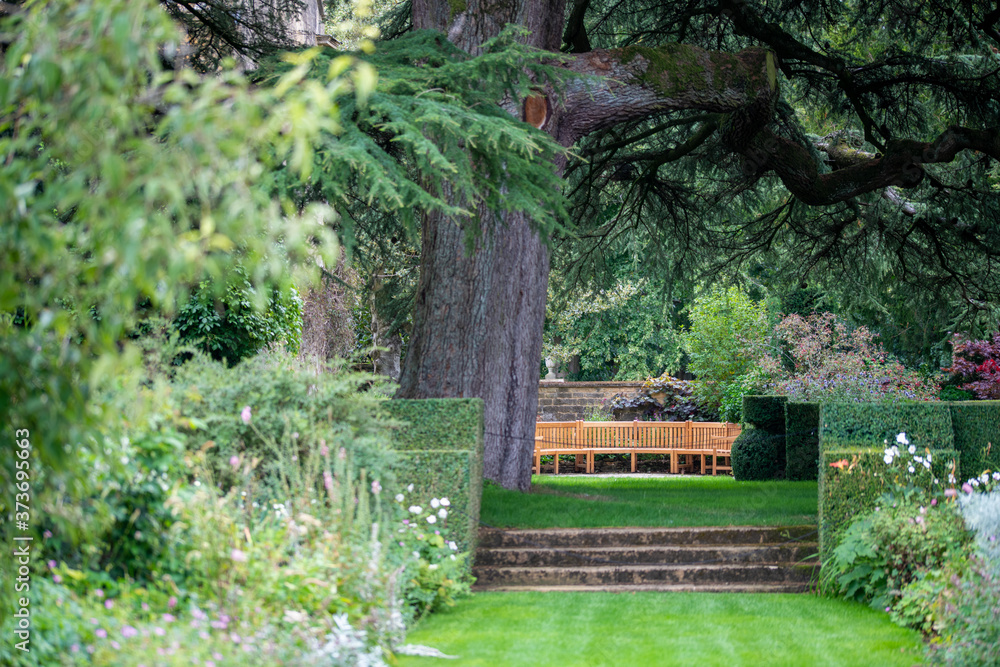 wooden bench in the garden