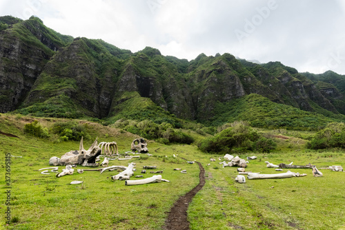 Kualoa Ranch
