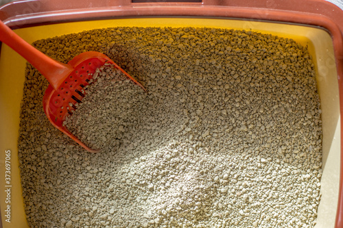 Red plastic scoop with the litter on a cat litter box