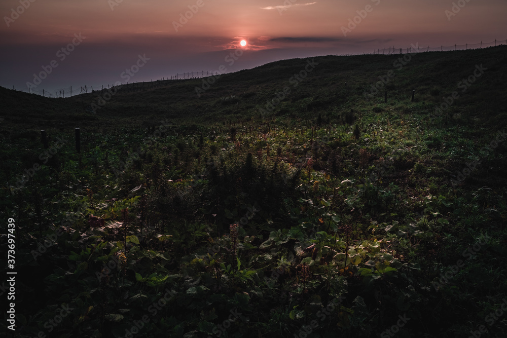 Obraz premium 山の風景