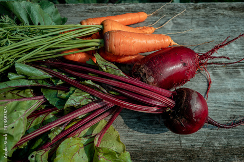 Fresh orange carrot and beetroot bunch with green top leaves on old rougth wooden background. close up photo