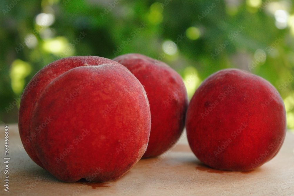 ripe juicy peaches grew under the sun's rays
ripe juicy peaches grew under the sun's rays