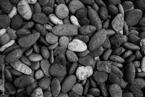 Wallpaper Mural pebble stones background with black and white filter Torontodigital.ca