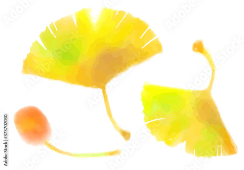 水彩手描きのかわいい銀杏の葉と実