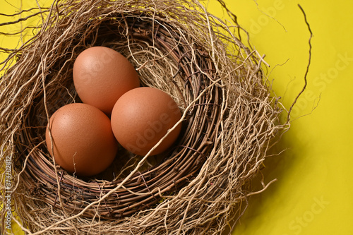 The three chicken eggs were put in nest isolated on colorful background
