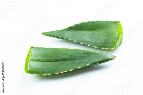 aloe vera  fresh leaves  laying on white background