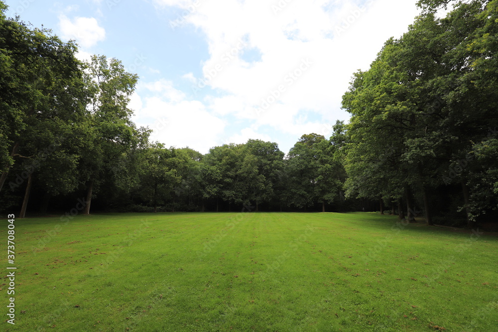 Beautiful blue sky over a Dutch meadow with forest edge. Beautiful blue sky over a Dutch meadow with forest edge.