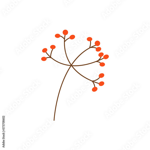 Sprig with rowan berries flat vector isolated