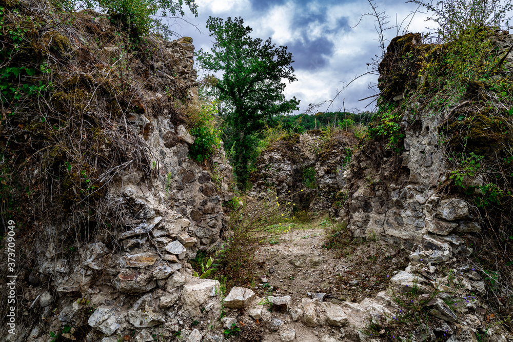 vestiges des ruines d'un château