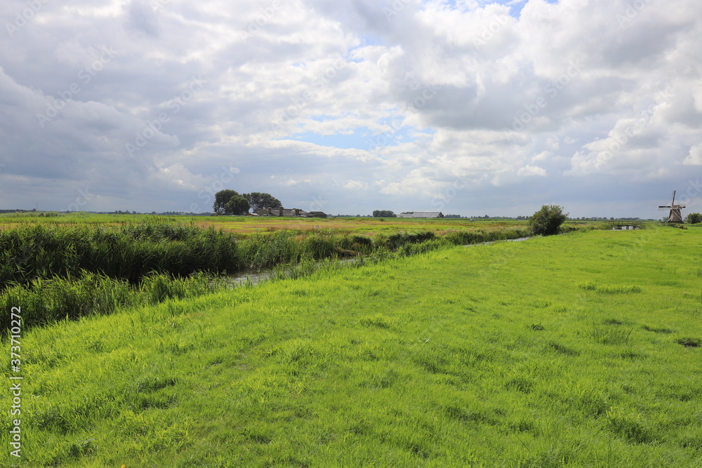 Dutch landscape consisting of meadows with a traditional windmill in the distance.