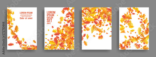 Autumn leaves falling stylish card backgrounds or covers vector set.