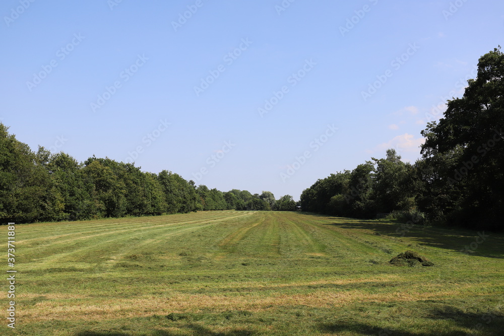 Fresh mowed hay on a meadow, countryside