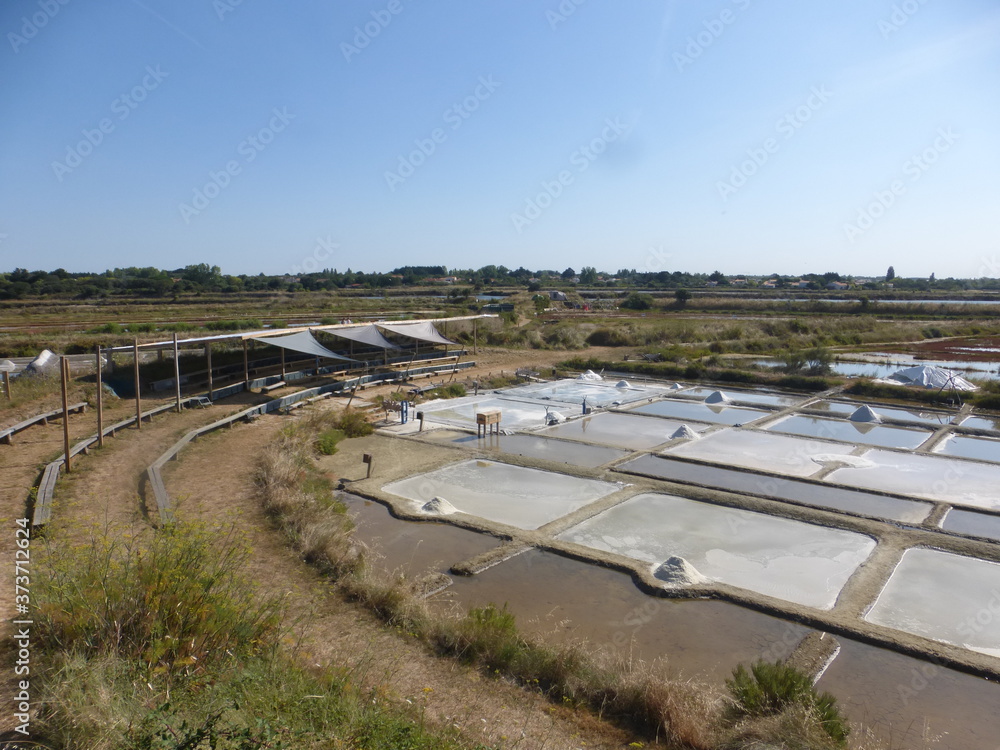 Obraz premium Marais salants