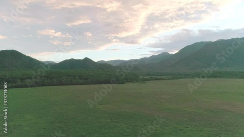 the drone shoot, green grass field with mountains.