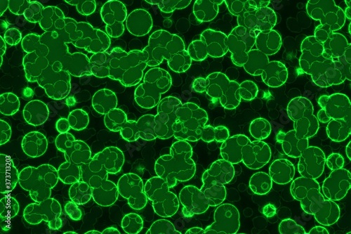 Obraz na plátně beautiful creative huge amount of organic unicellulars digital art background or