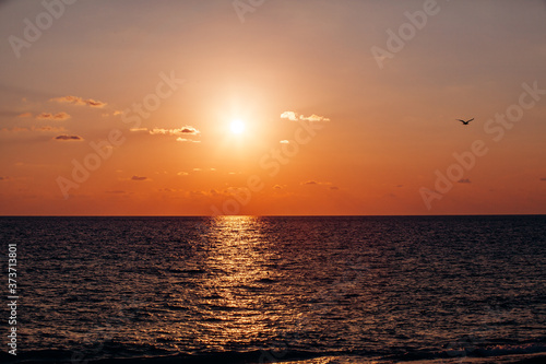 Beautiful warm sunset on the sea. Beautiful scenery. Charming sunset © EwaStudio