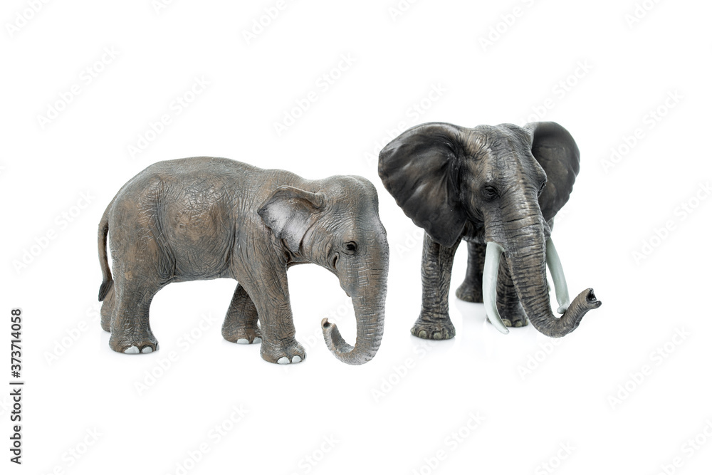 elephant isolated on a white background elephant isolated on a white background