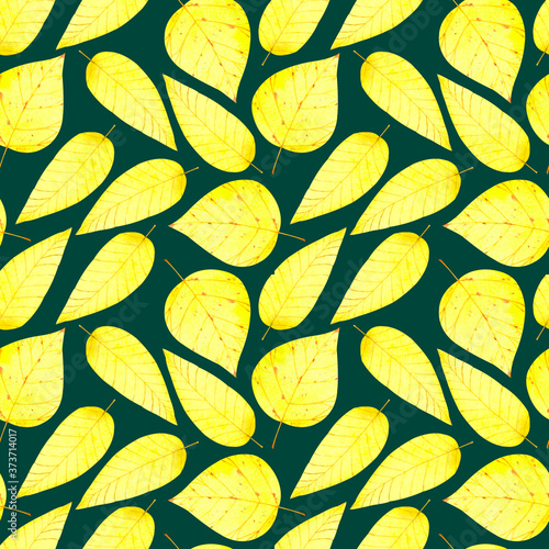 Beautiful watercolor seamless pattern with autumn yellow birch leaves for your design projects (fabrics,wrapping paper,wallpaper,textiles,bedclothes,packaging).On dark green background.Handdrawn. photo