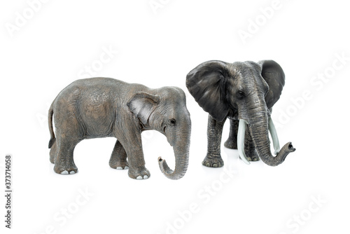 elephant isolated on a white background