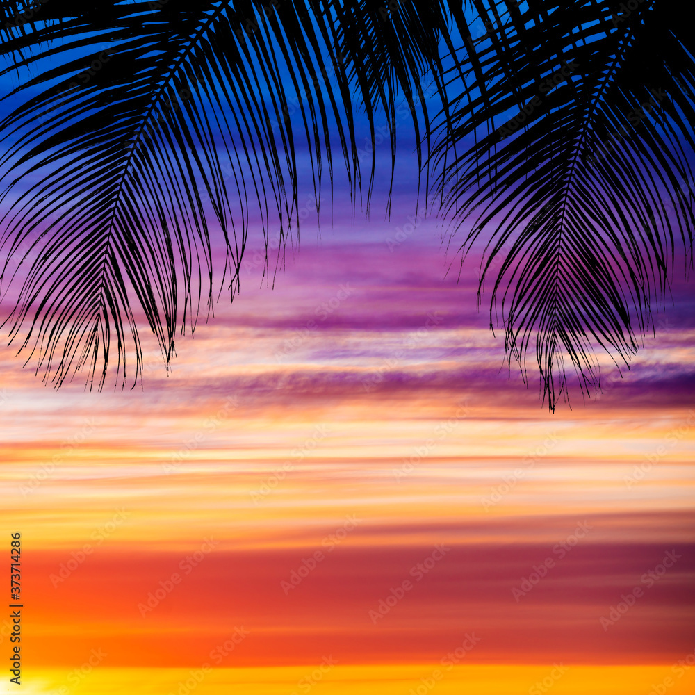 Orange dramatic sunset with palm trees