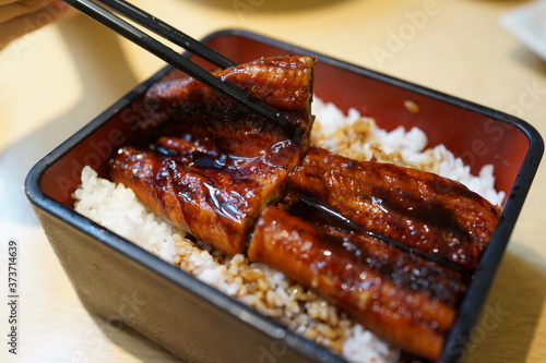 Unagi don, Japanese fried rice topped with grilled eel.