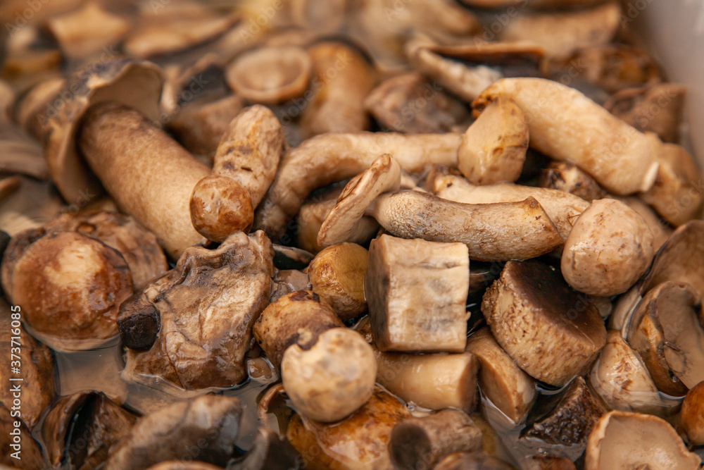 Closeup pickled boletus mushrooms in a plastic bucket at the fair. Altai salted mushrooms - maslyata. Closeup pickled boletus mushrooms in a plastic bucket at the fair. Altai salted mushrooms - maslyata.