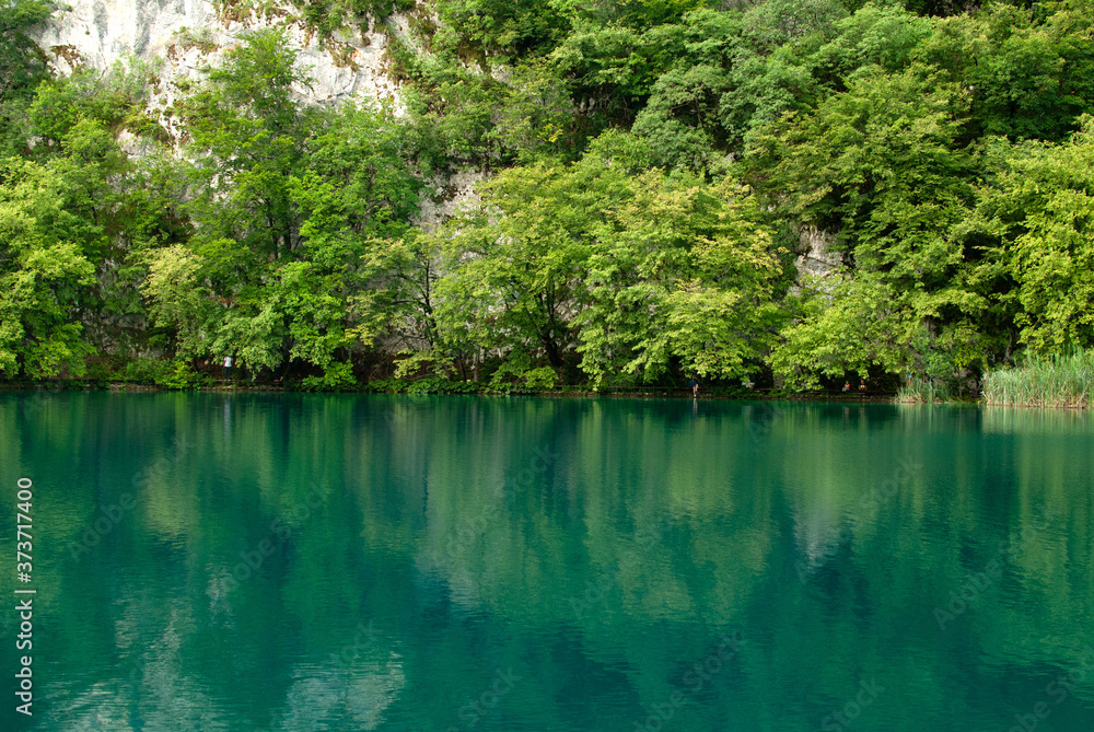 Reflection of rock and trees in the green Plitvice Lake Reflection of rock and trees in the green Plitvice Lake