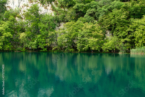 Reflection of rock and trees in the green Plitvice Lake