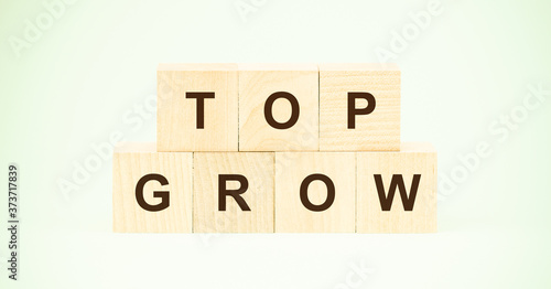 words top grow made with small wooden cubes on light green