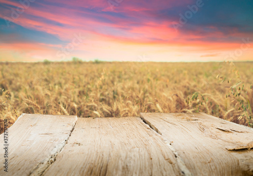 Wood floor over yellow wheat field under nice sunset cloud sky background