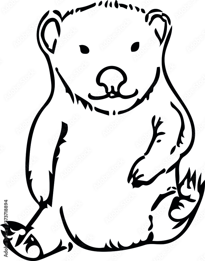 vector sketch of a wombat vector sketch of a wombat