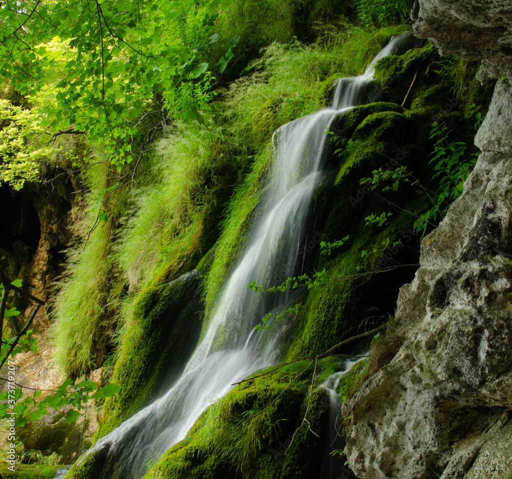 Naklejka premium Waterfall in the middle moss