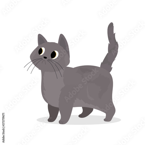 Sad gray cat. Suitable for stickers and postcards. Isolated. Vector.