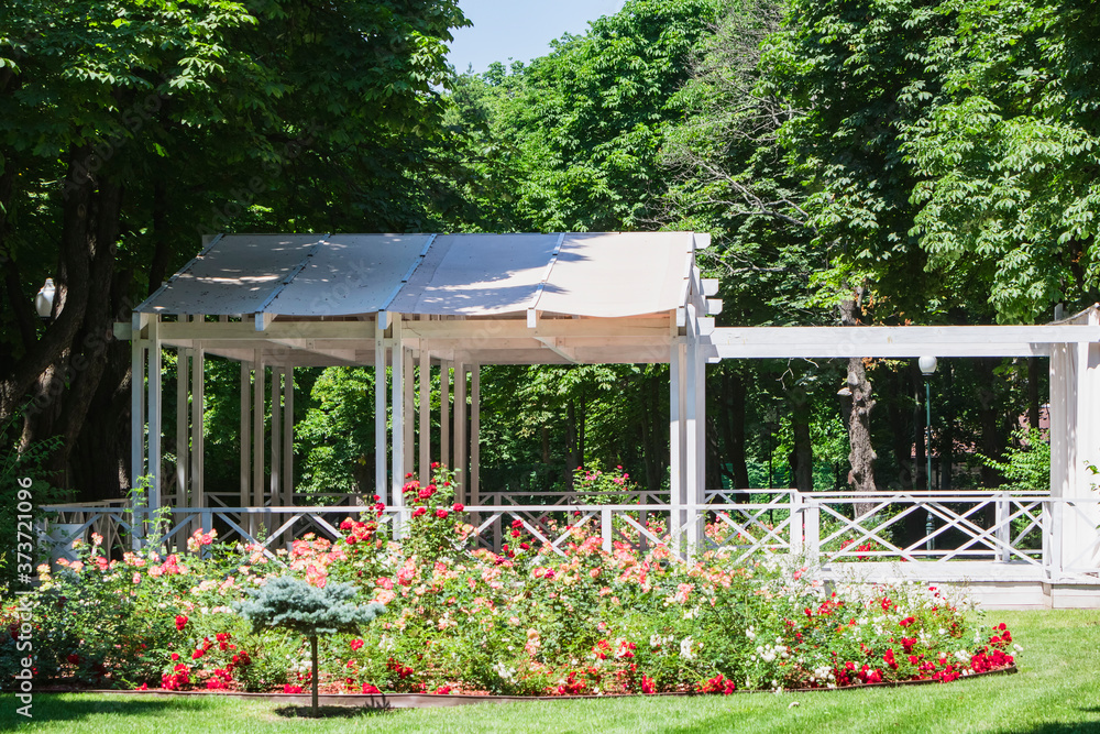 Summer gazebo with flowers in the city park.