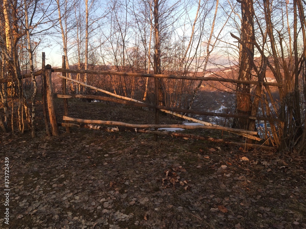 wooden fence in autumn forest