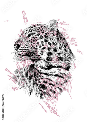 Black leopard design with pink details in the background