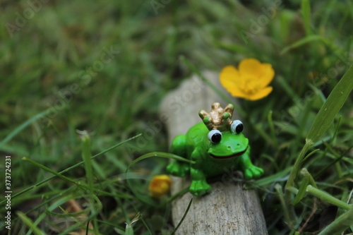 Froschkönig sitzt auf einem Zweig im Gras