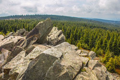 View from Wolfswarte (Bruchberg) at Harz Mountains National Park, Germany