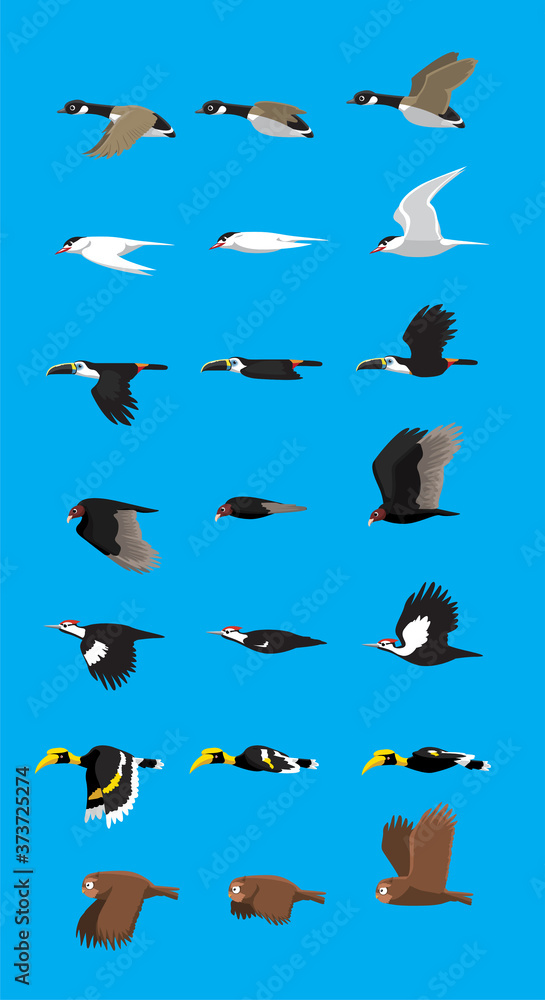 Various Bird Flying Sequence Cute Cartoon Vector Illustration Set 2