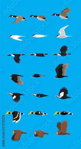 Various Bird Flying Sequence Cute Cartoon Vector Illustration Set 2